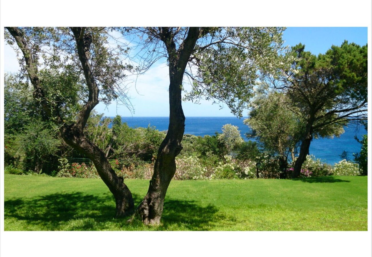 Villa in Olbia - Villa Lalla