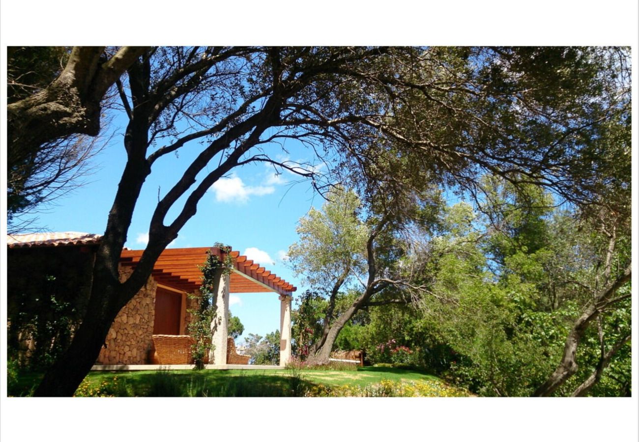 Villa in Olbia - Villa Lalla