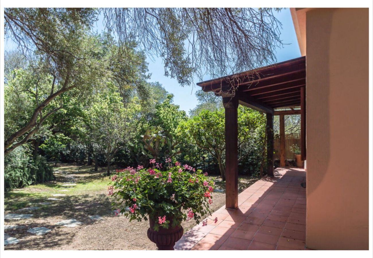 Villa in Olbia - Villa Lalla