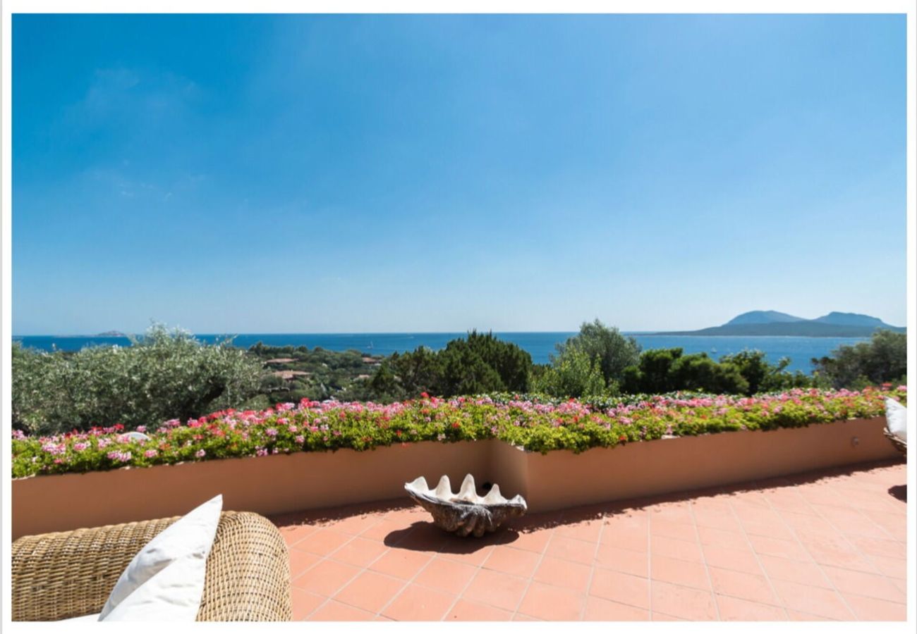 Villa in Olbia - Villa Lalla