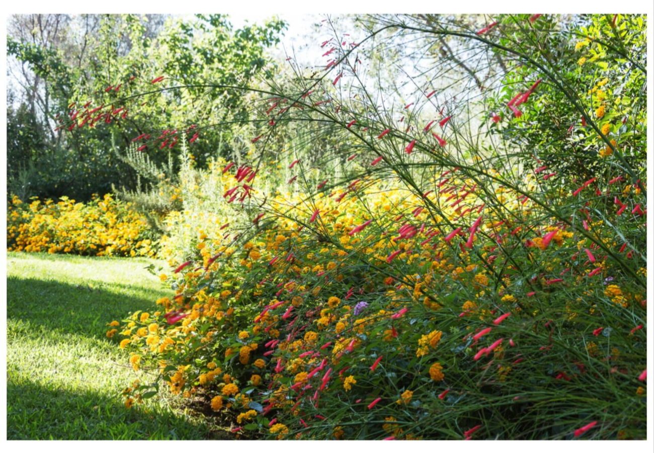 Villa in Olbia - Villa Lalla