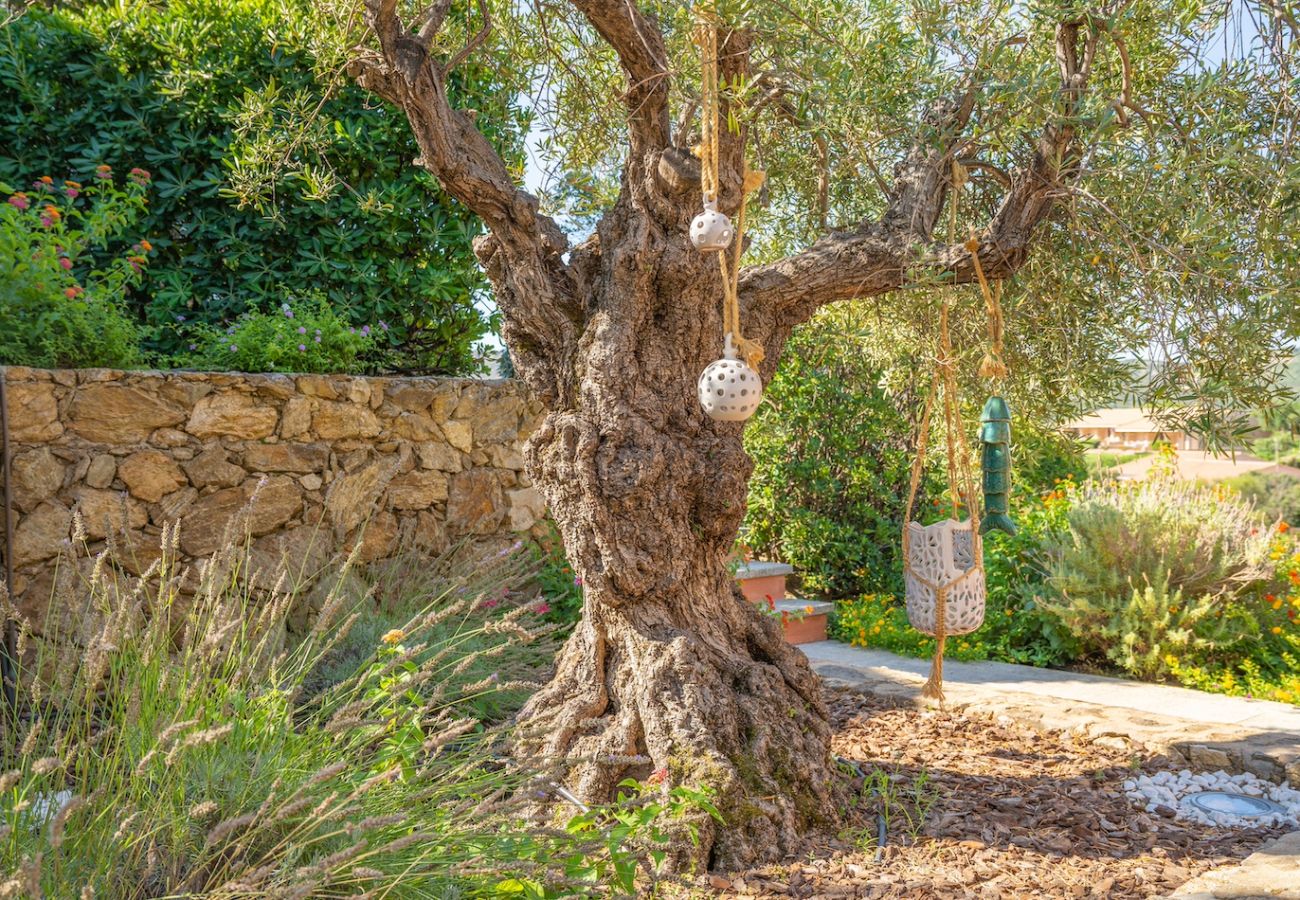 Villa in Palau - Villa Giada - By Searly