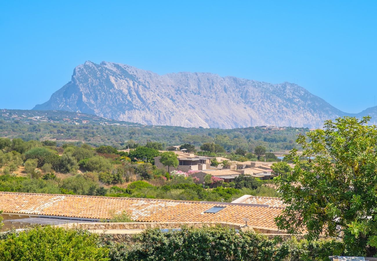 Villa in San Teodoro - Exclusive Villa San Teodoro