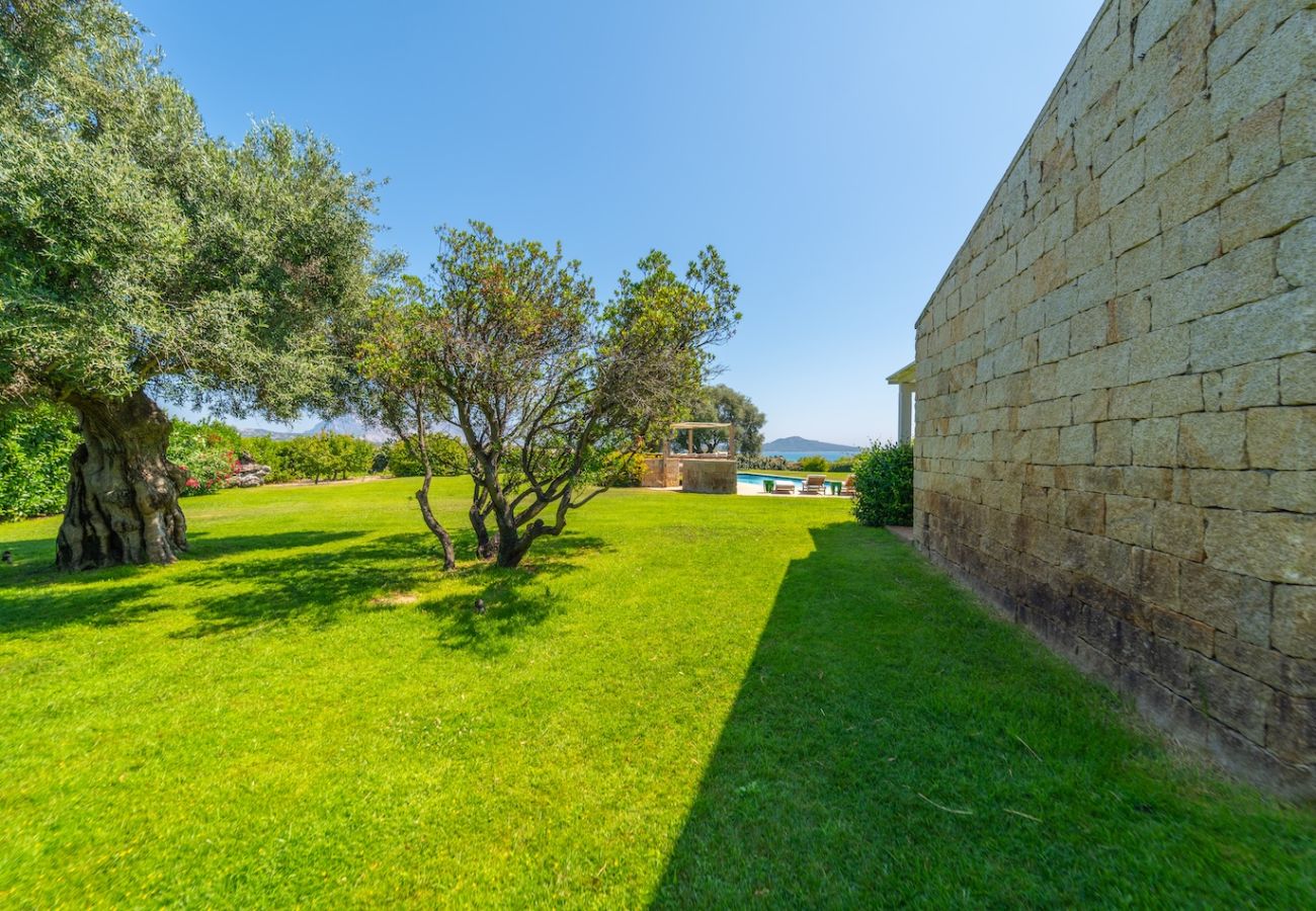 Villa in San Teodoro - Exclusive Villa San Teodoro