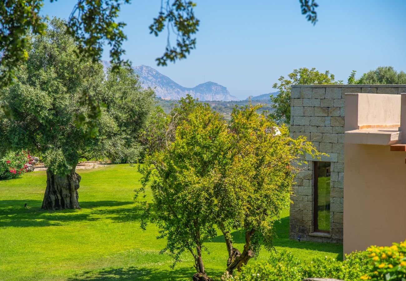 Villa in San Teodoro - Exclusive Villa San Teodoro