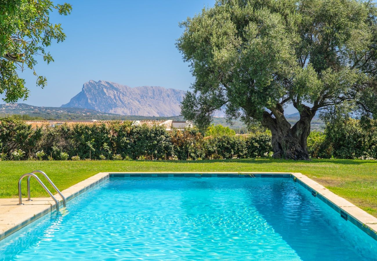 Villa in San Teodoro - Exclusive Villa San Teodoro