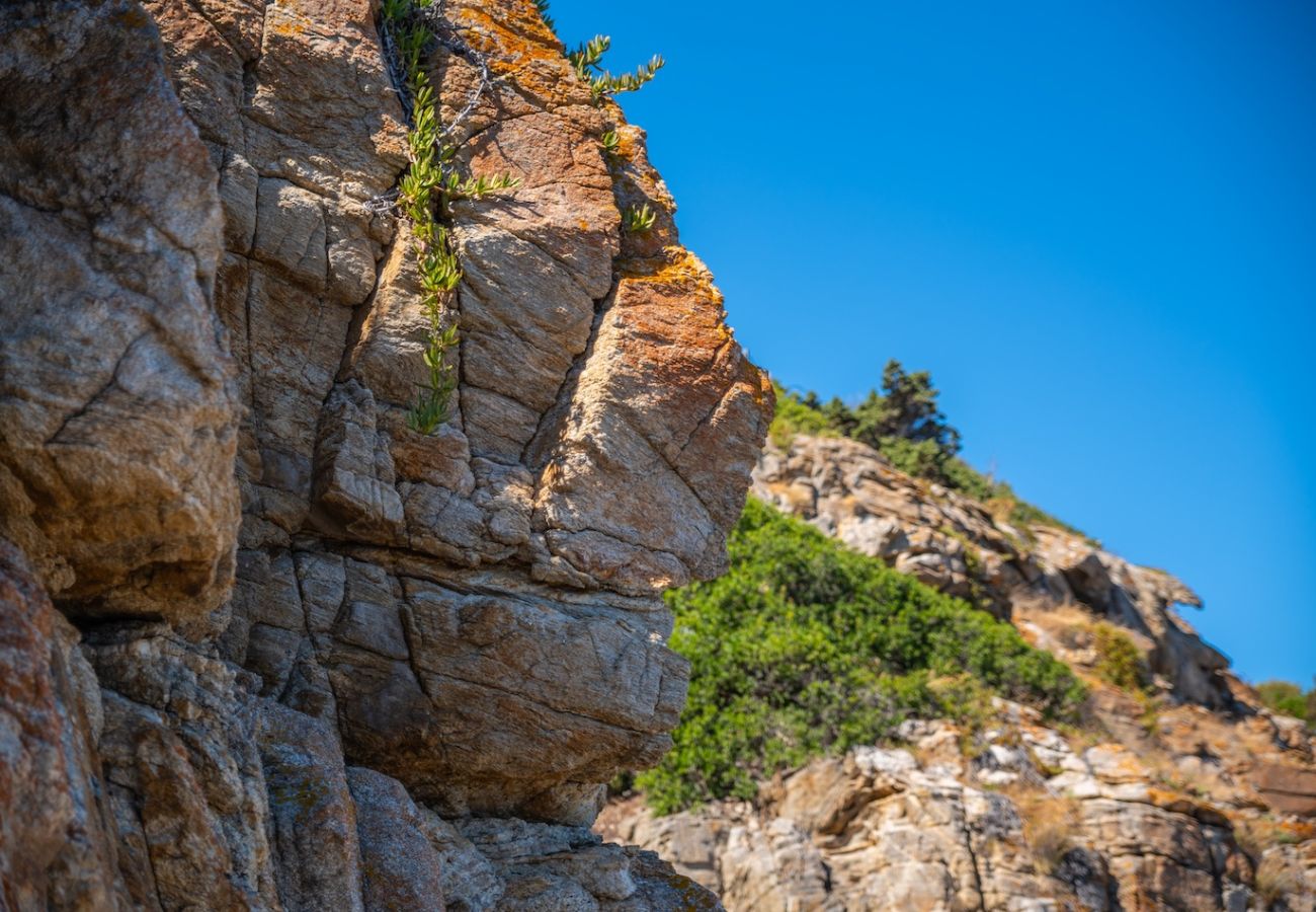 Villa in Porto Rotondo - Villa Tramonto Prestige