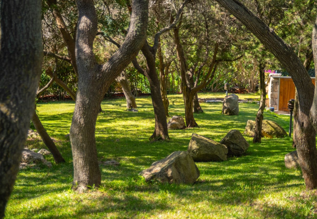 Villa in Porto Rotondo - Villa Tramonto Prestige