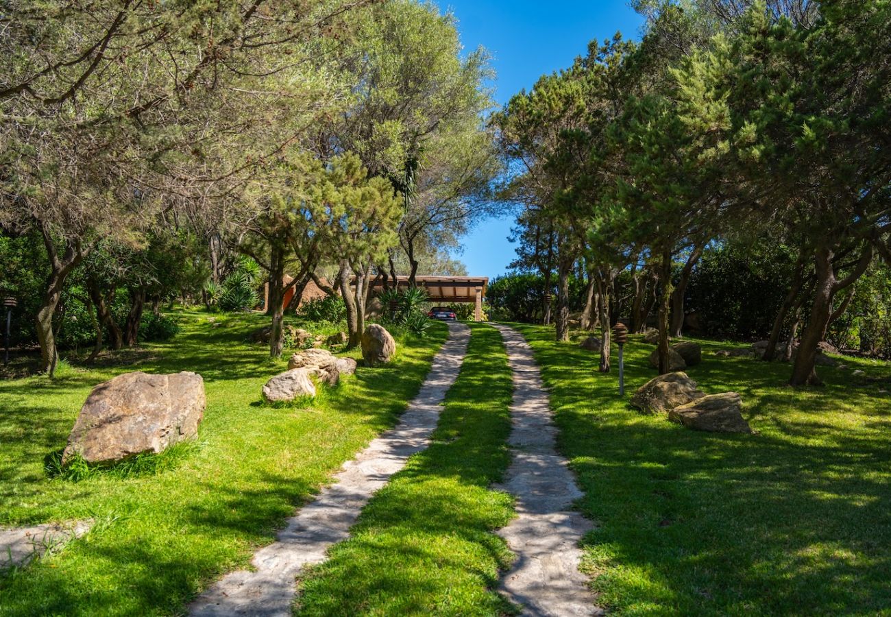 Villa in Porto Rotondo - Villa Tramonto Prestige