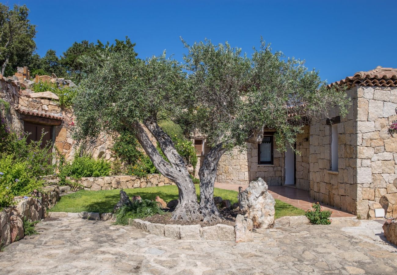 Villa in Baia Sardinia - Villa Bomboniera