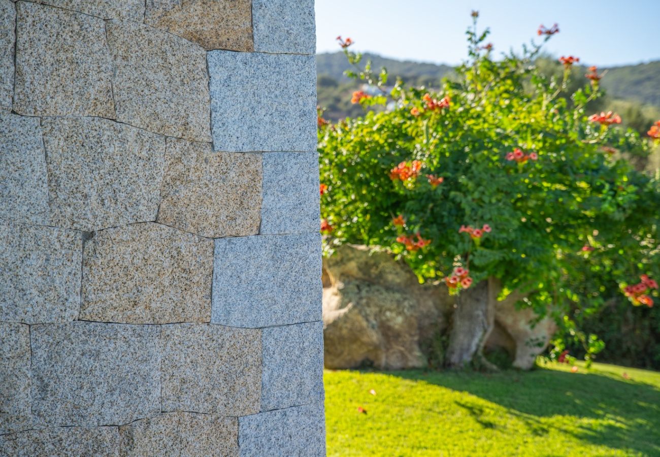 Villa in Budoni - Villa La Stella del Porto