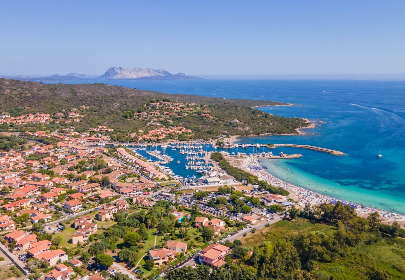 Villa in Budoni - Villa La Stella del Porto