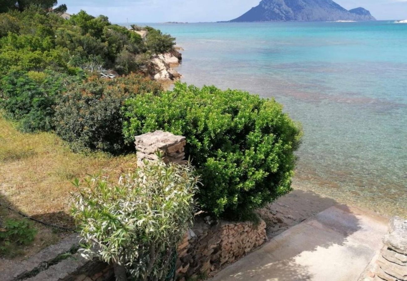 Chalet in San Teodoro - L'incanto di Girgolu