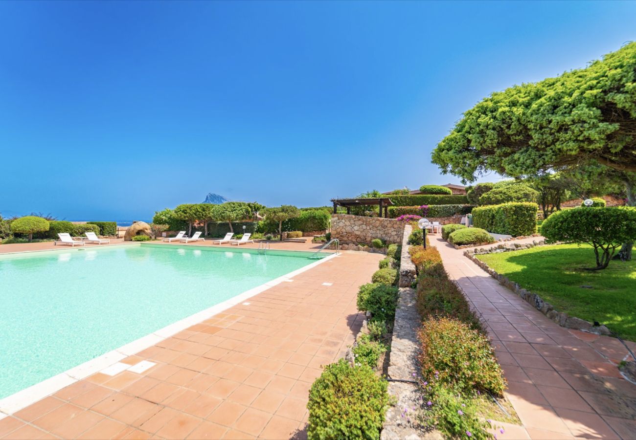 Chalet in San Teodoro - Casa Paradiso