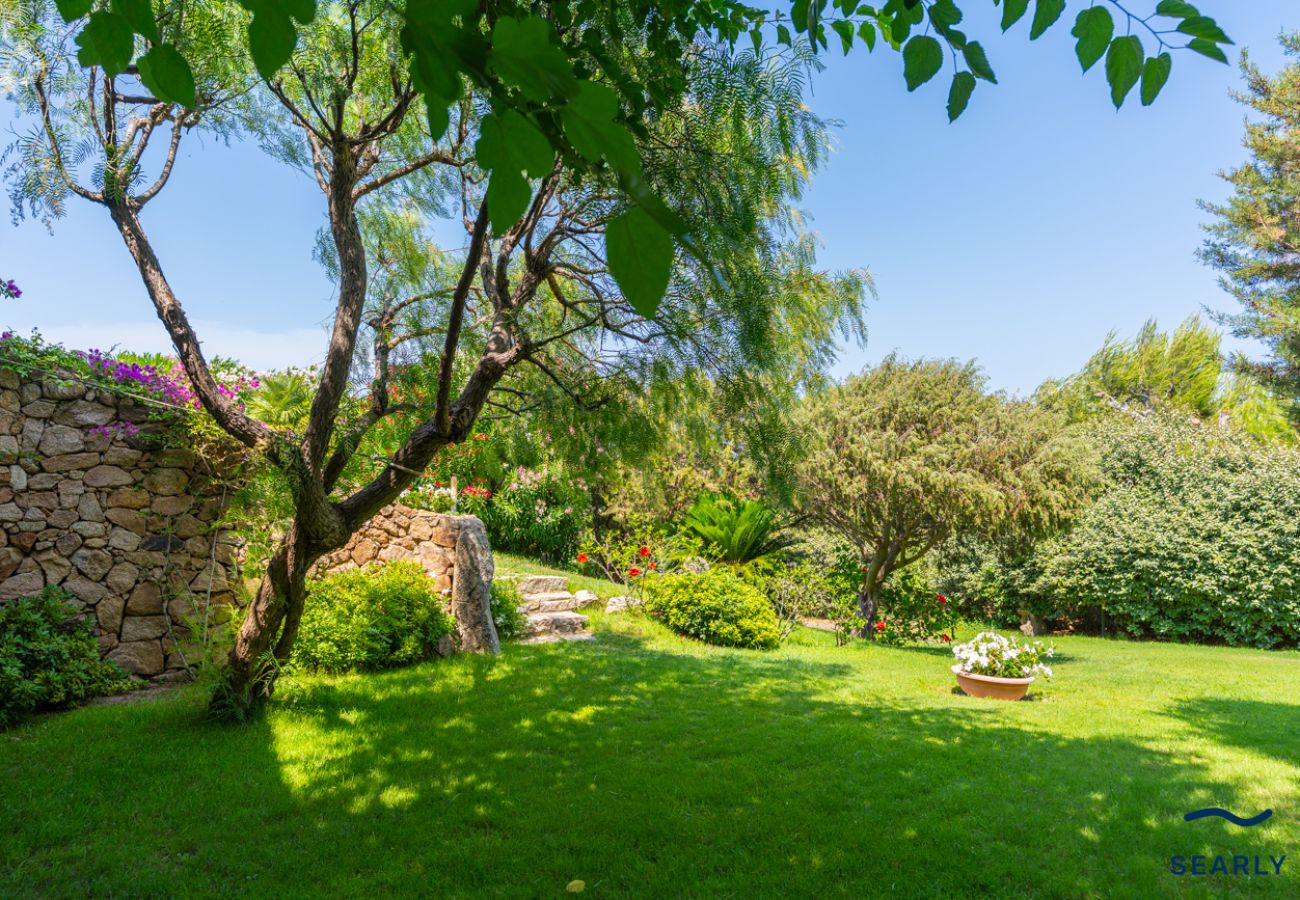 Villa in Porto Cervo - Esclusiva Villa a Pantogia - Porto Cervo