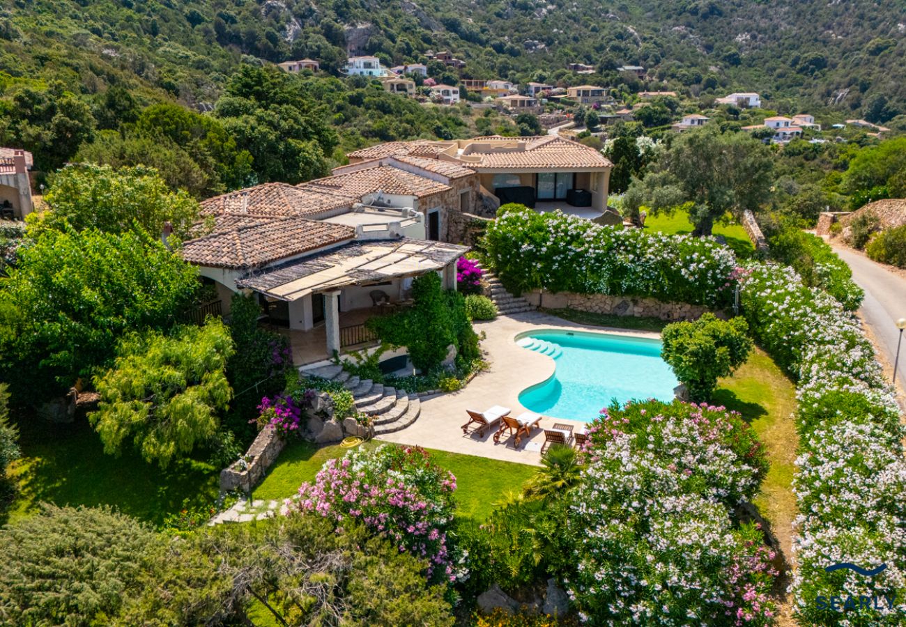 Villa in Porto Cervo - Esclusiva Villa a Pantogia - Porto Cervo